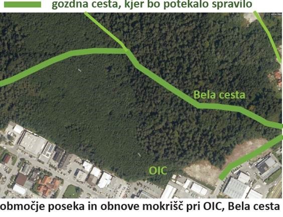 Obvestilo o odstranjevanju lesne zarasti na mokriščih