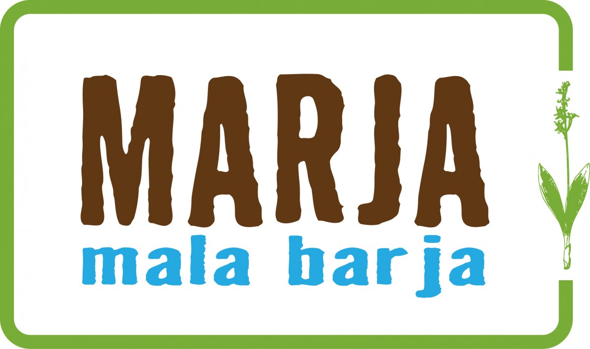 Objava javnega naročila za odstranjevanje lesne zarasti