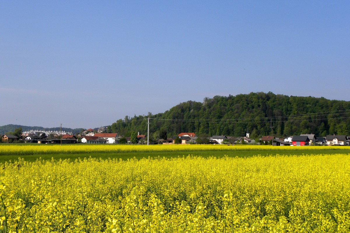 Zbiranje odpadkov 2019