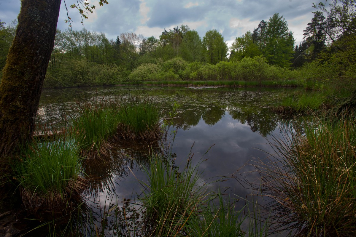 Frnihtov bajer - Avtor: Matej Povše