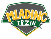 Projekt mladinc Trzin - poročilo za junij 2026